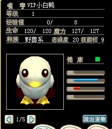 VIP小白鸭.jpg