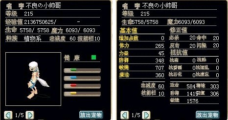 满级进化型张柏芝，造型修改为雷恩巴肯造型，敏魔混加精神控制在303以上