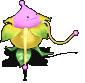赸.gif