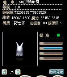 110.jpg