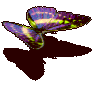 396.gif