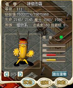 兔儿仙人掌.jpg
