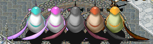 .png