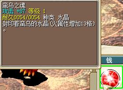 .jpg