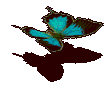 104557.gif
