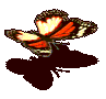 104558.gif