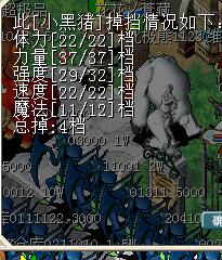 00301小黑猪.jpg