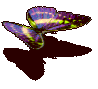 W.gif
