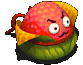 õ.gif