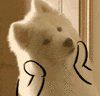 QQ图片20170918113003.gif