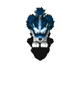 哈士奇.gif