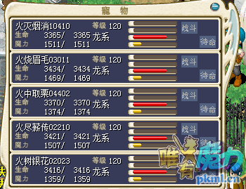 340金一队满树海