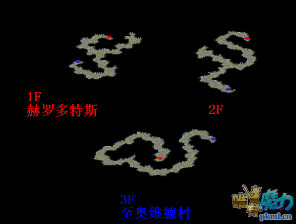 卡斯.png