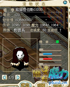 02.png