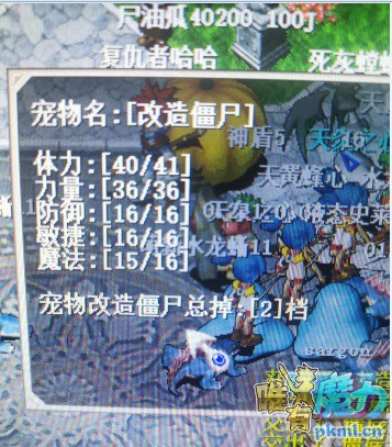 ޱ1.jpg