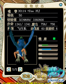 5tu.png