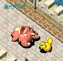 ̬˯