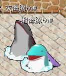 55.jpg