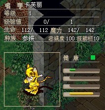 小猫咪