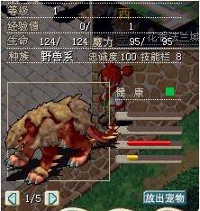 20X