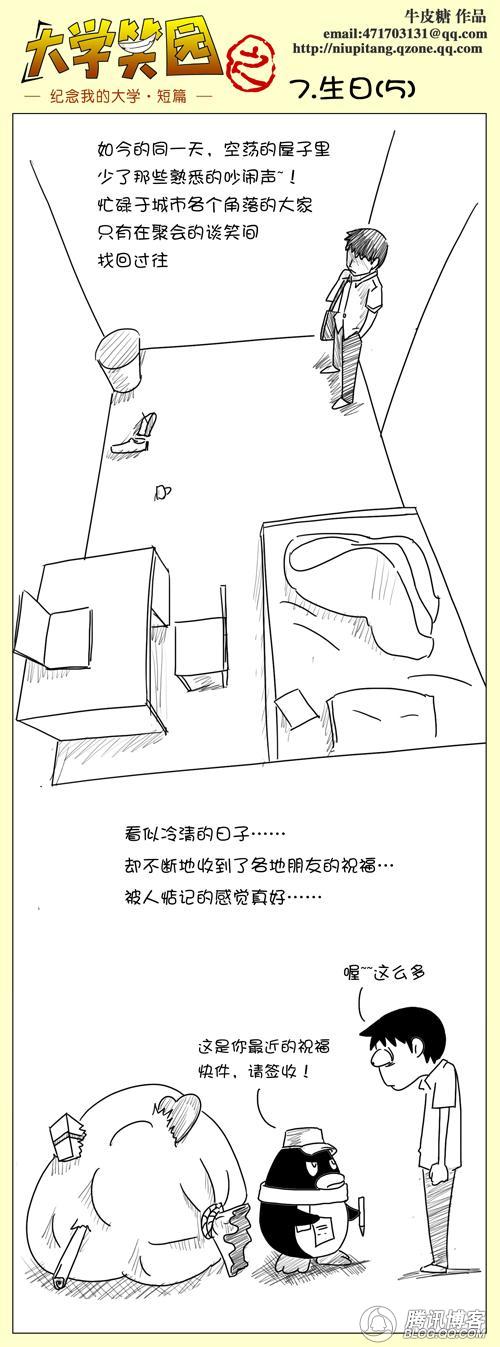 5.jpg
