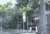13.gif