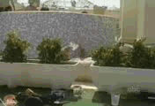 11.gif