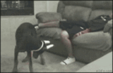 15.gif