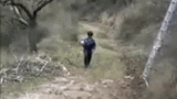 18.gif