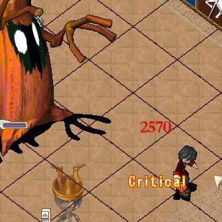 .jpg