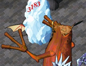 .jpg