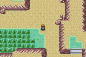 73_4631_dbd17607c841981.gif