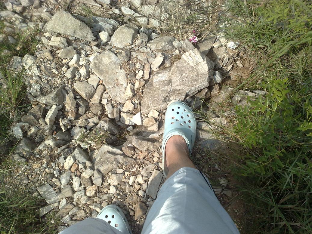 20110808183.jpg