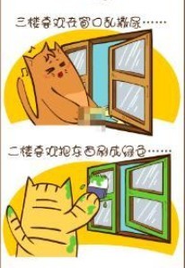 02.jpg