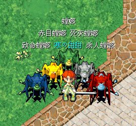TL一套