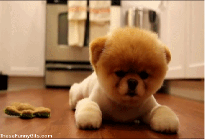 δ.gif