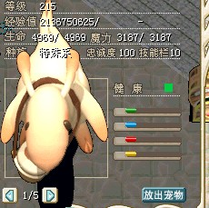 朵拉姆TT 5M 商场价格