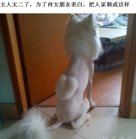 QQ截图未命名2.jpg