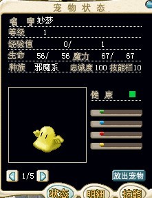 妙梦（黄）.jpg
