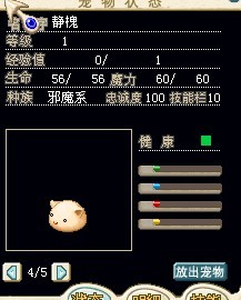 静槐（黄）.jpg