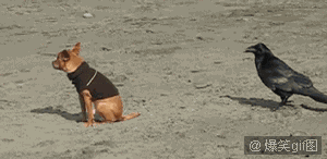 7599918_0.gif