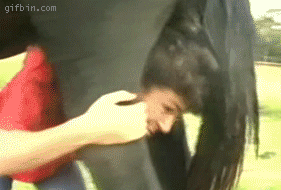 7637803_0.gif