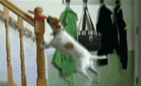 2012070910182819243.gif