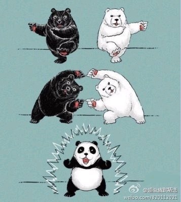 熊猫仔.jpg