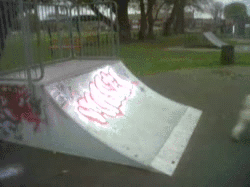 2704421_11.gif