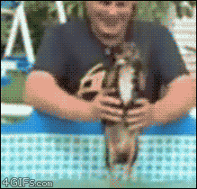 2768274_11.gif
