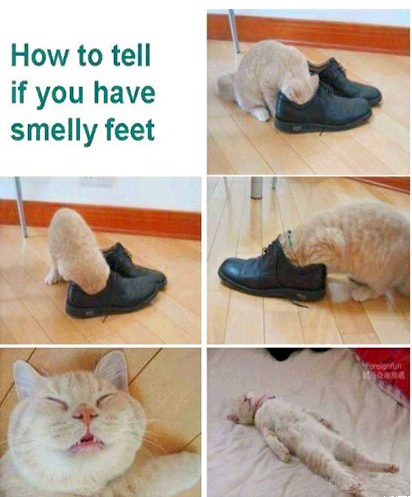 1_副本.jpg