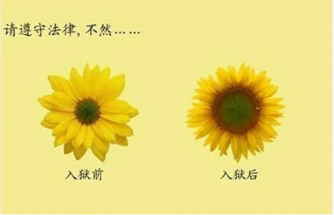 a0629c3ebd00e08d838b1303.jpg