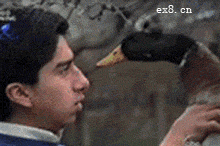 t02fdf3bbc23874754a.gif
