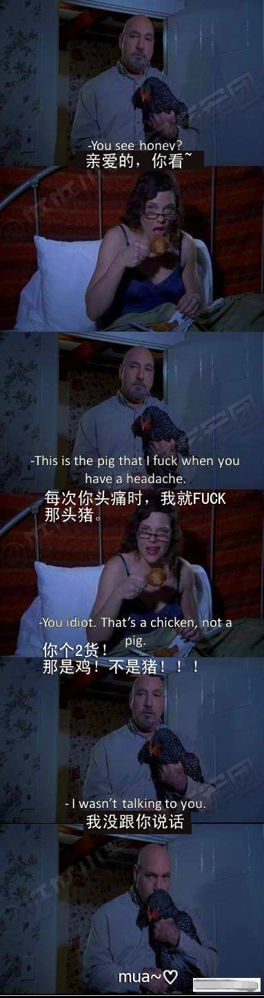 那是鸡不是猪.jpg